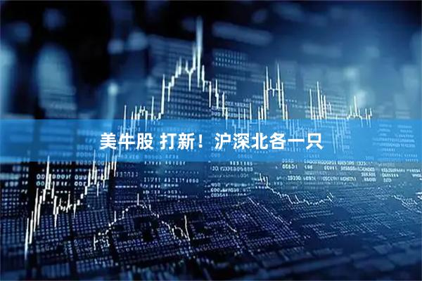 美牛股 打新！沪深北各一只