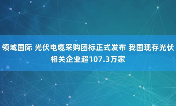 领域国际 光伏电缆采购团标正式发布 我国现存光伏相关企业超107.3万家