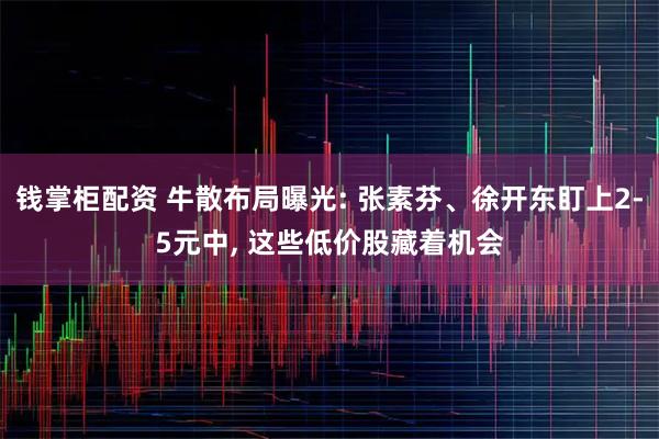 钱掌柜配资 牛散布局曝光: 张素芬、徐开东盯上2-5元中, 这些低价股藏着机会