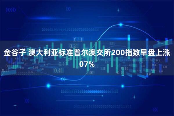 金谷子 澳大利亚标准普尔澳交所200指数早盘上涨07%